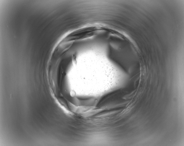 X0000066021054200603171527