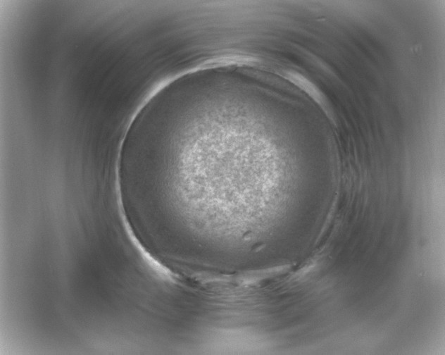 X0000066021055200603171527