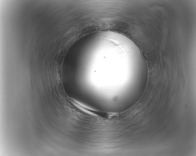 X0000066021058200603171526