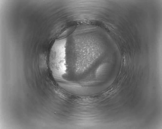 X0000066021060200603171526