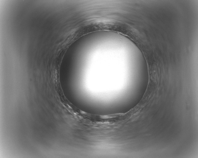 X0000066021061200603171526