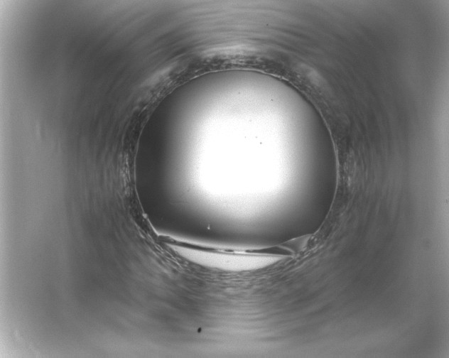 X0000066021062200603171526