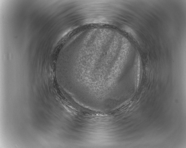 X0000066021064200603171526