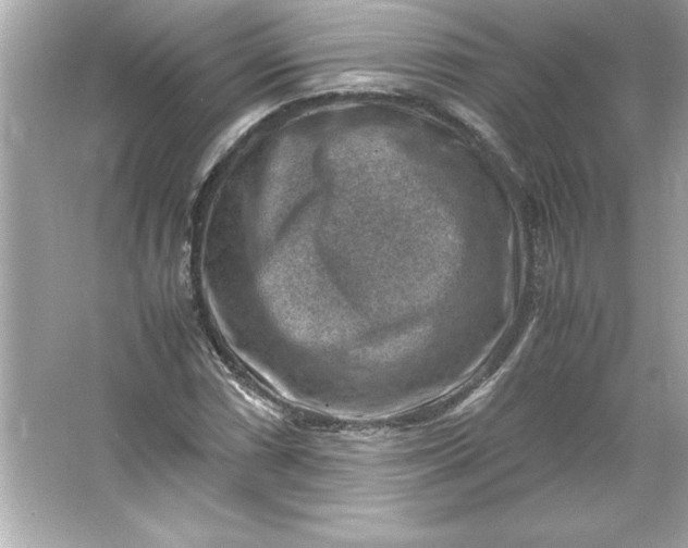 X0000066021066200603171526