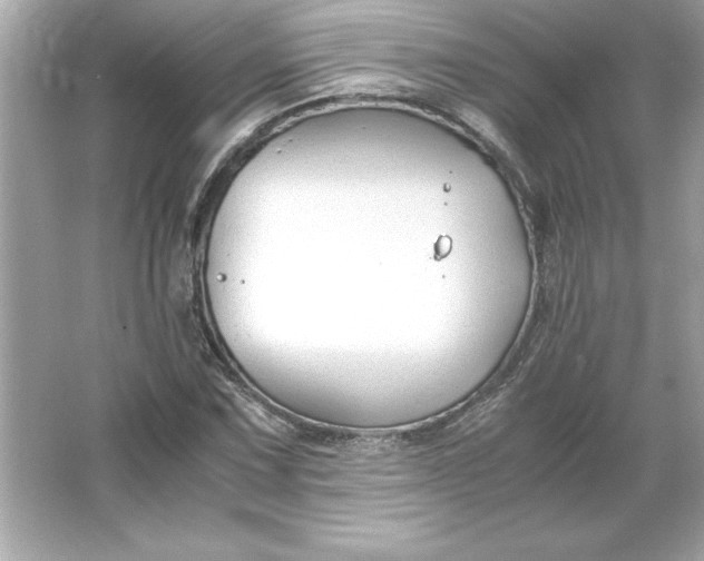 X0000066021067200603171526