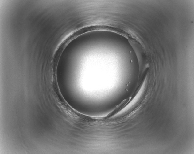 X0000066021069200603171526