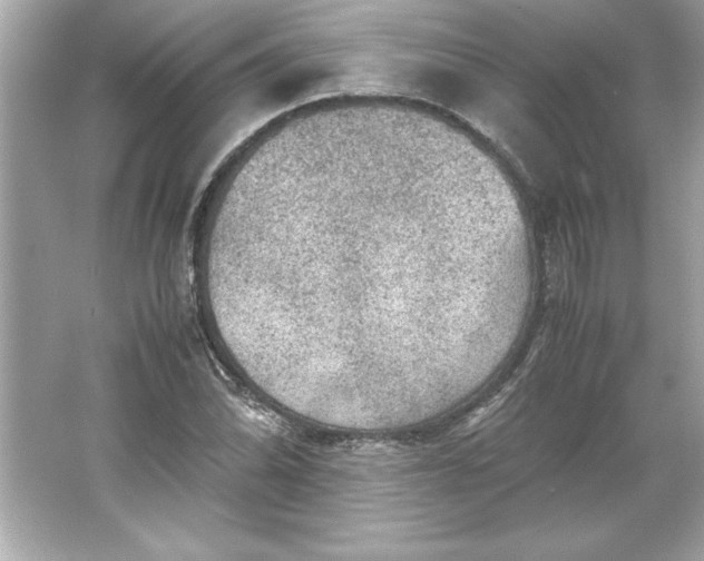 X0000066021070200603171526