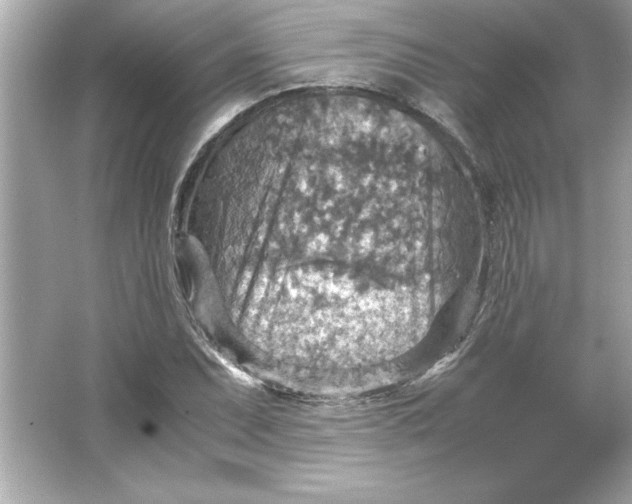 X0000066021071200603171526