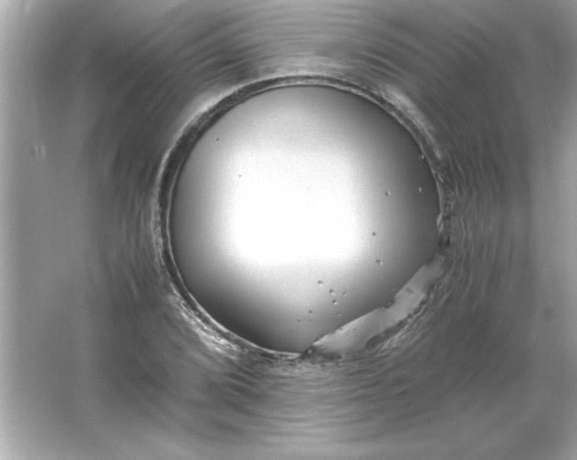 X0000066021072200603171526