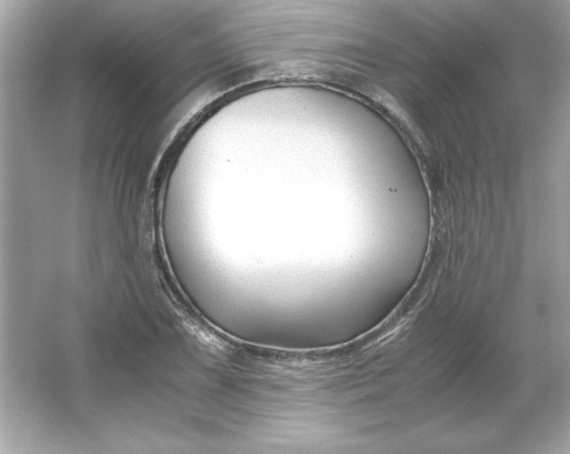 X0000066021075200603171526