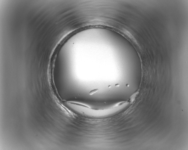 X0000066021076200603171526