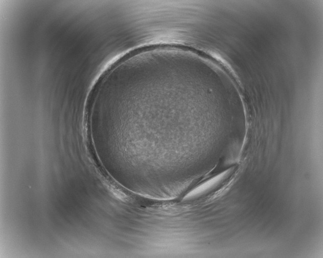 X0000066021077200603171526