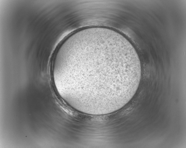 X0000066021078200603171526