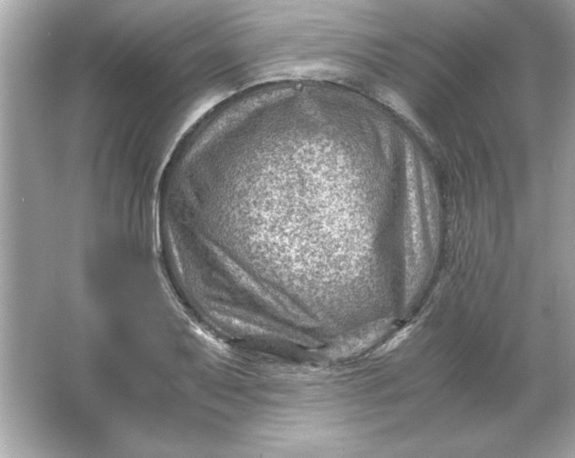 X0000066021079200603171526