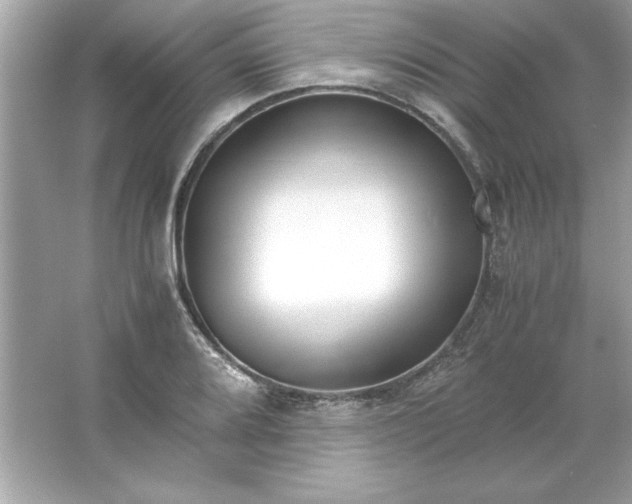 X0000066021080200603171526