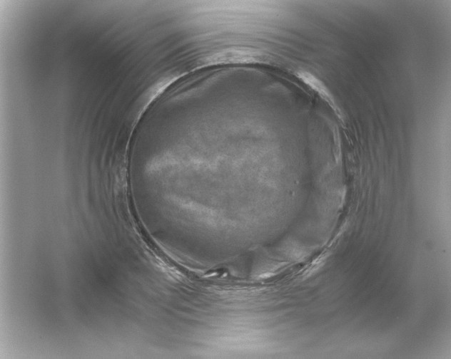 X0000066021081200603171526