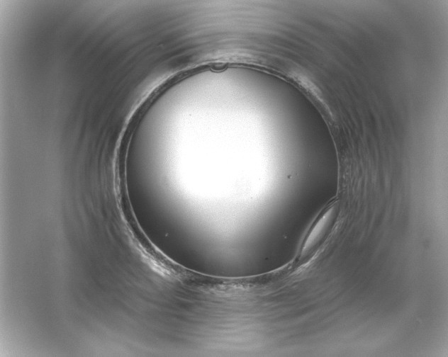 X0000066021082200603171526