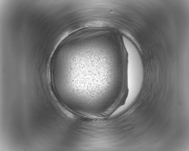 X0000066021083200603171525