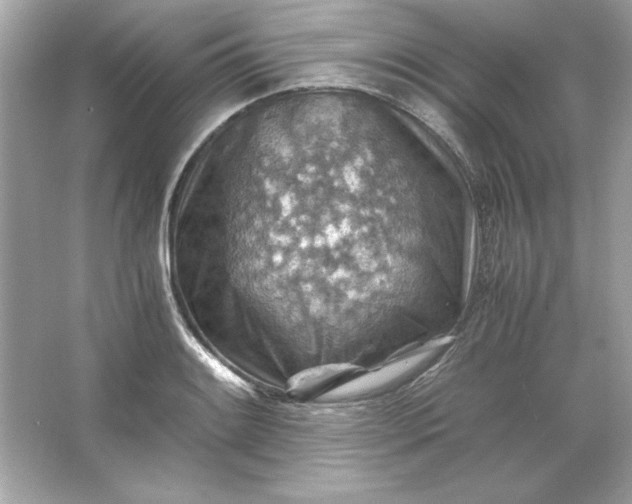 X0000066021084200603171525