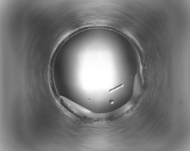 X0000066021085200603171525