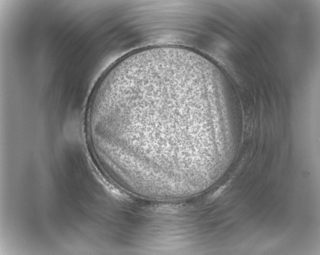 X0000066021086200603171525