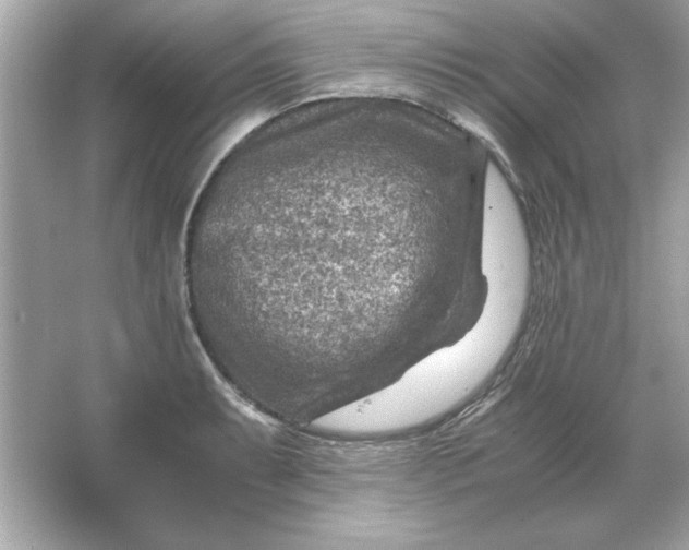 X0000066021087200603171525