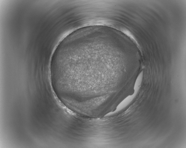 X0000066021088200603171525