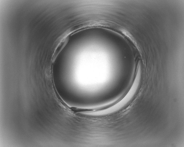 X0000066021089200603171525