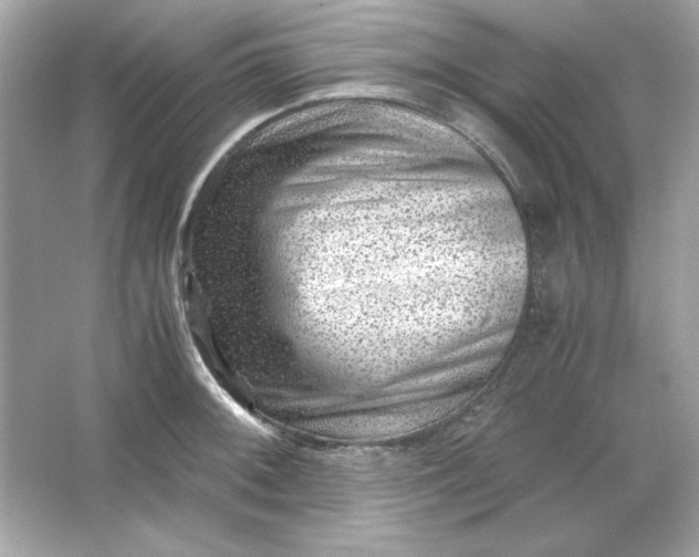 X0000066021092200603171525