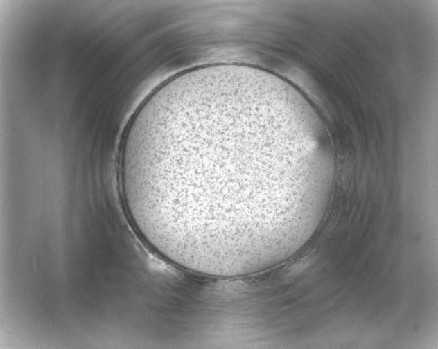 X0000066021094200603171525