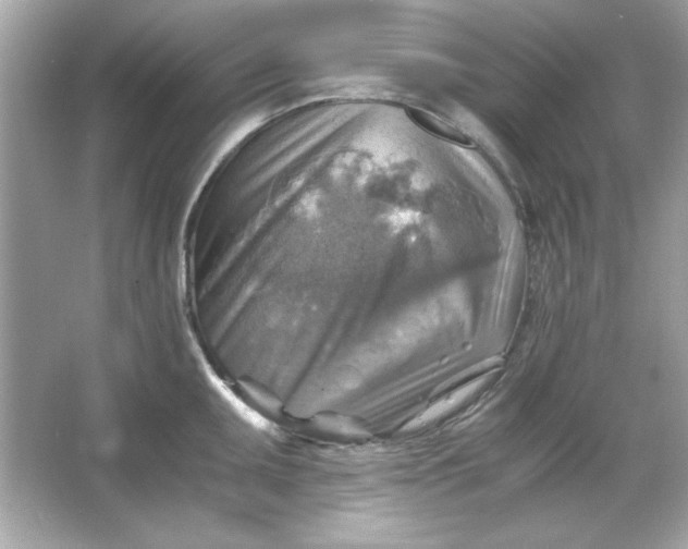 X0000066021095200603171525