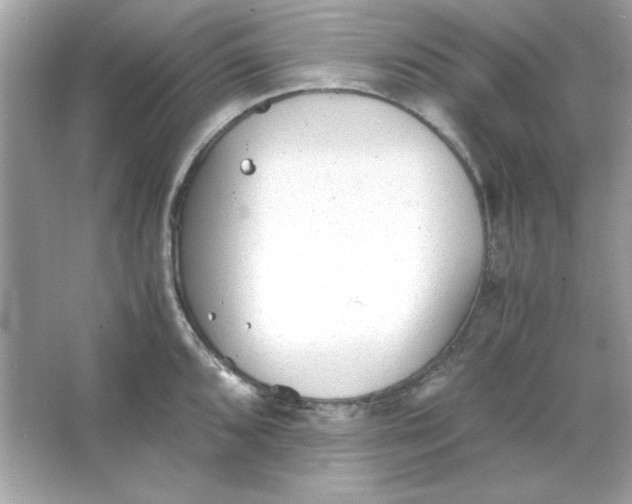 X0000066021096200603171525