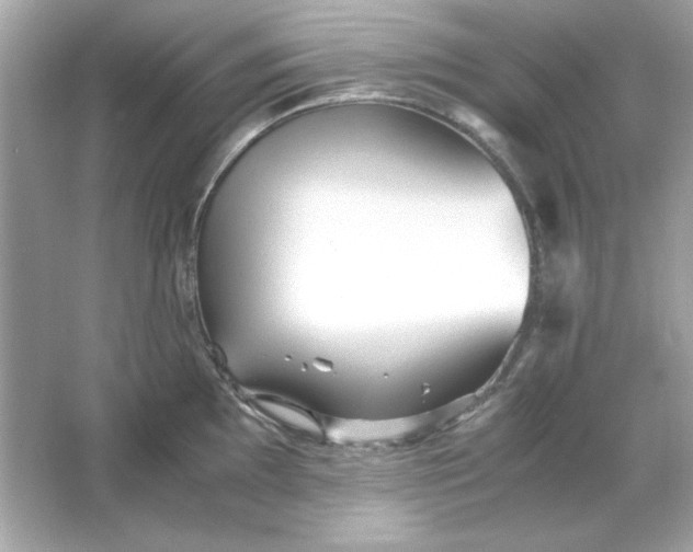 X0000066021097200603171525