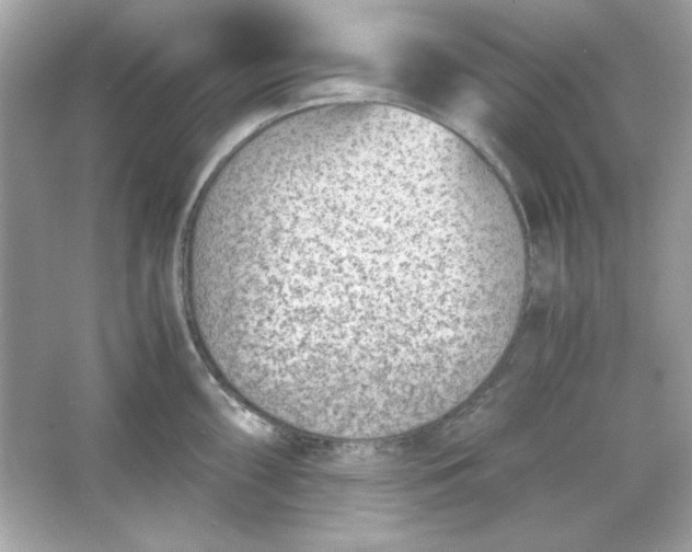 X0000066021098200603171525