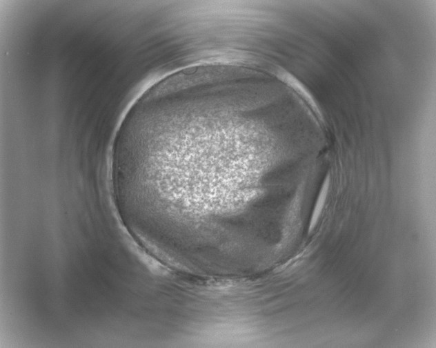 X0000066021099200603171525