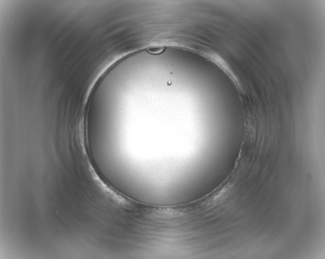 X0000066021100200603171525