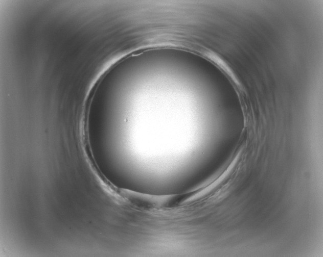 X0000066021101200603171525