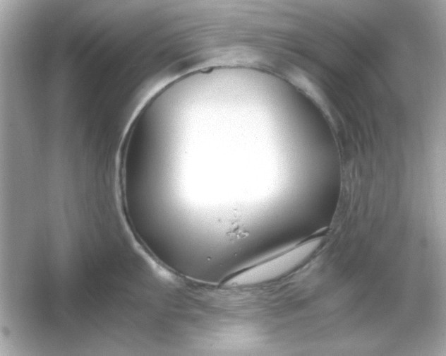 X0000066021103200603171525