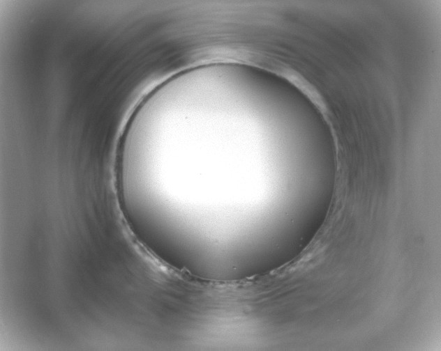 X0000066021104200603171525