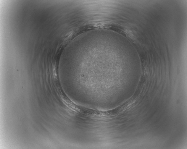 X0000066021106200603171524