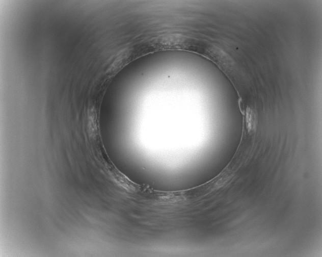 X0000066021107200603171524