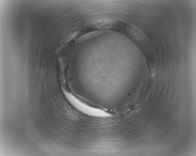 X0000066021108200603171524