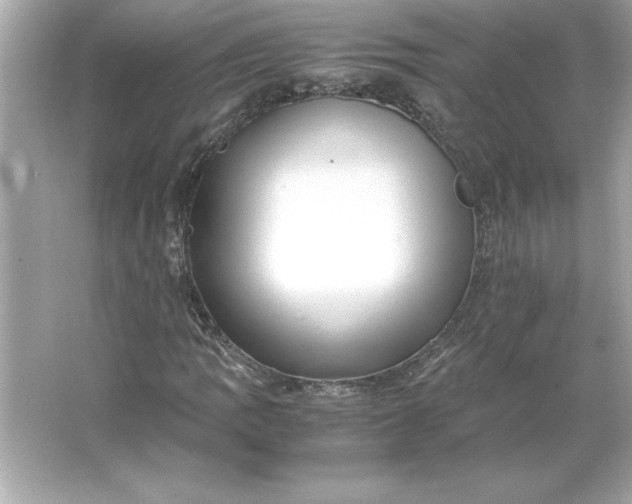 X0000066021109200603171524