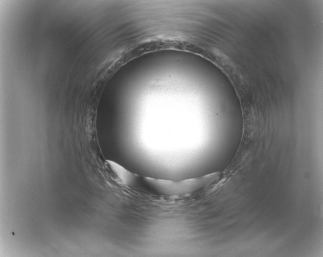 X0000066021110200603171524