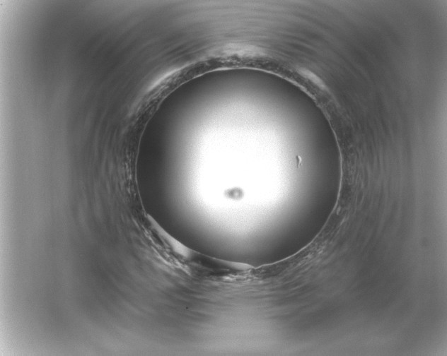 X0000066021112200603171524