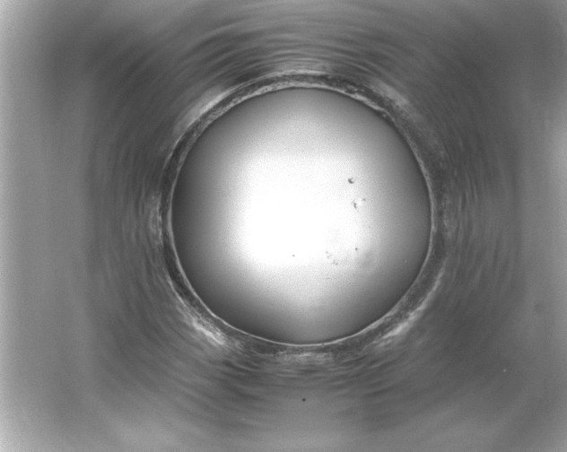 X0000066021113200603171524