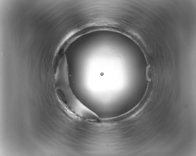 X0000066021114200603171524