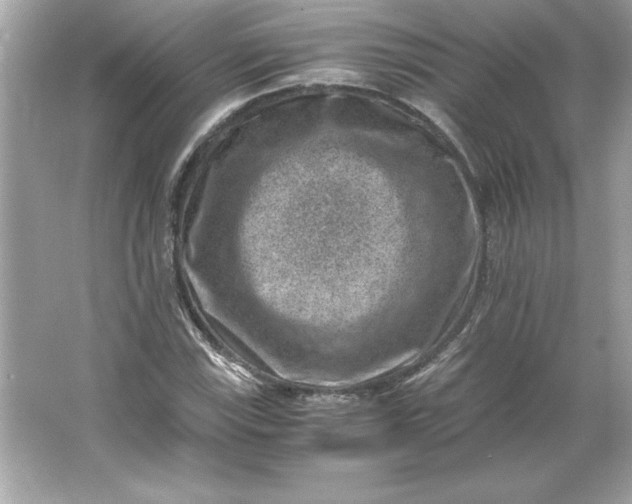 X0000066021115200603171524