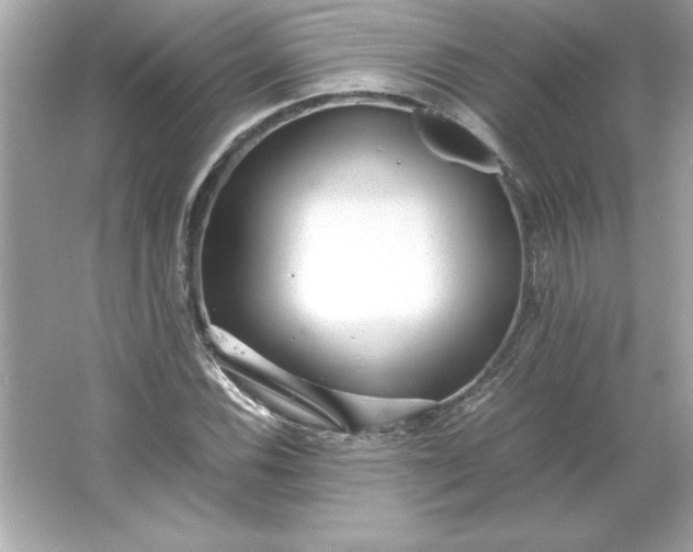 X0000066021116200603171525