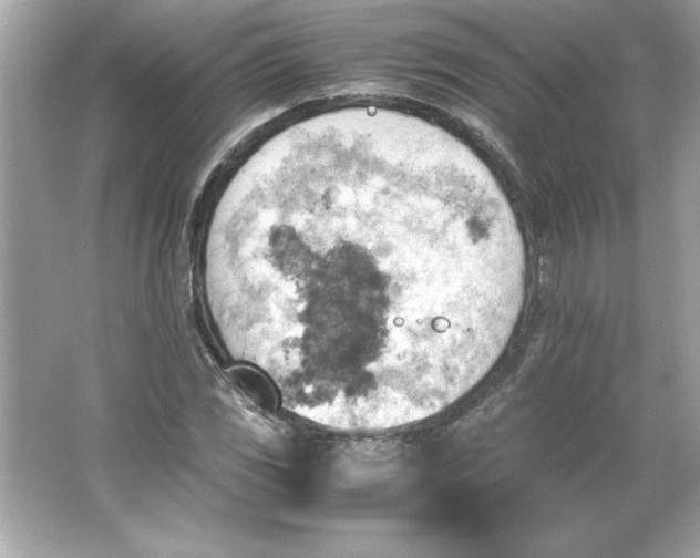 X0000066021117200603171525